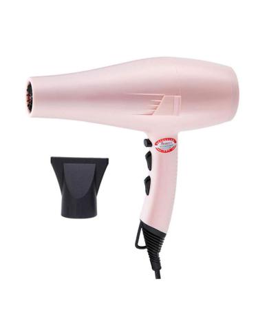 Professional Hair Dryer 2200W AC Motor Negative Ionic Technology Blow Dryer with 3 Heat & 2 Speed Setting and Cool Shot Button Nozzle Included Fast Drying Salon Hairdryer for Men and Women lightblue Pink