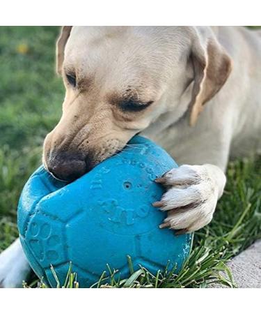 Jolly Pets Dog Football - Ocean Blue 20 cm | Multi Large/X-Large Toy - Buy Online on GoSupps.com
