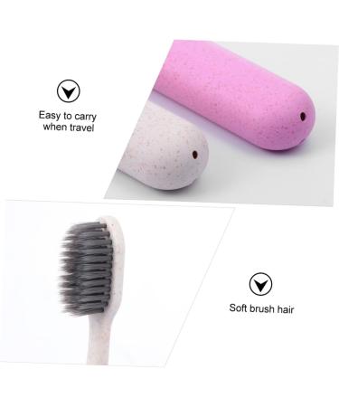 Frcolor 2-Part Toothbrush Set for Gum Care | Ultra Long Grip Tooth Cleaning Tool | 1-Pack Sorted Colors Ideal for International Shipping - Buy Online on GoSupps.com