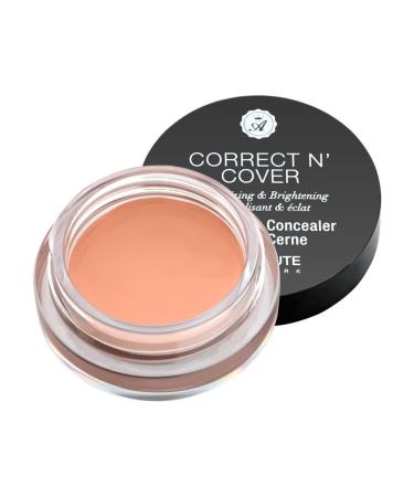 Absolute New York Correct 'n Cover Dark Circle Concealer - Medium | Conceal and Brighten Eyes - Buy Online on GoSupps.com
