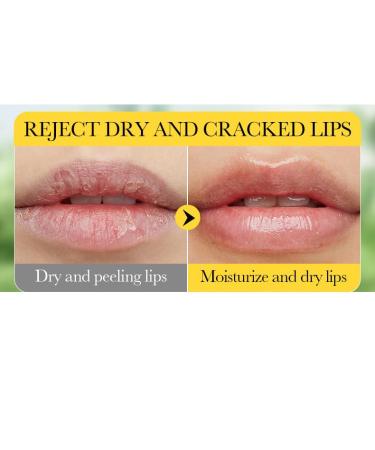 2PCs Set Vitamin E Honey Lip Mask Moisturizing Hydrating Lip Balm Relieve Dry & Chapped Lips Deeply Nourish Moisturize Lip Skin 13g*2 - Buy Online on GoSupps.com