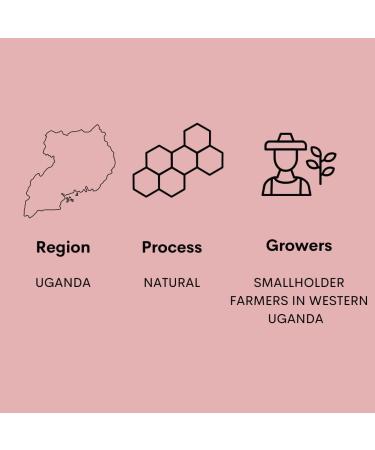 Arabica Coffee - Uganda Drugar Coffee - Specialty Coffee - Buy Online on GoSupps.com