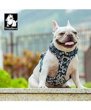 Winhyepet Truelove No-Pull Dog Harness - Adjustable Breathable Cotton Reflective Soft Design for Small & Medium Dogs/Cats - TLH5655 XL Saxony Blue - Buy Online on GoSupps.com