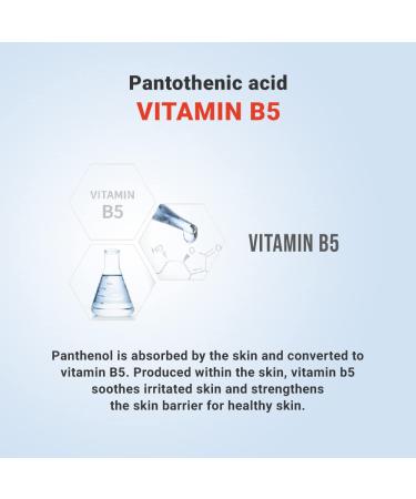 ATOPALM Panthenol Lotion 6.1 Fl. Oz - Deep Hydration Face & Body Lotion for Dry Sensitive Skin - Eczema Relief & Itchiness - Vitamin B5 Formula for Strengthening Skin Barrier - Kbeauty - 180ml - Buy Online on GoSupps.com