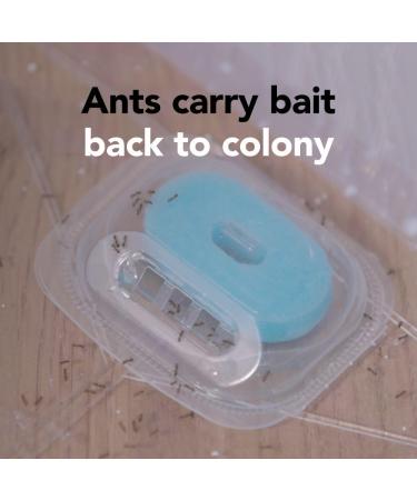 Raid Max Double Control Liquid Ant Killer Baits and Traps Kills Ants Where They Breed For Indoor Use Child Resistant 8 Bait Stations 1 Box - Buy Online on GoSupps.com