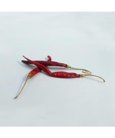 Laprovecom ALVARADO hot sauce from the south of Mexico Habanero flor de sal Guajillo Jamaican pepper Vinagre 40 ml - Buy Online on GoSupps.com