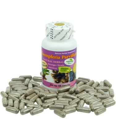 Hida Beauty Black Ginger 100 Capsules - Kaempferria Parviflora Root Powder - Thai Herbal Supplement - Buy Online on GoSupps.com