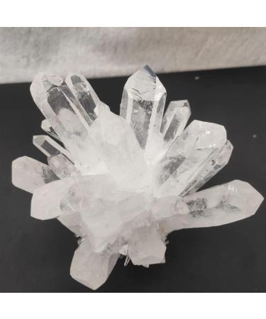 1pcs Natural Clear White Quartz Cluster PointStone Can be Used for (Size : 500-600g) HOMEZHOU (Size : 300-400g) - Buy Online on GoSupps.com
