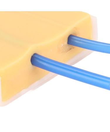 Silicone Venipuncture Pad for Nurse Injection Training | Simulation Model - Buy Online on GoSupps.com