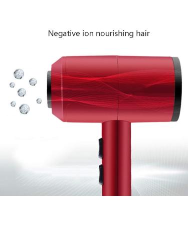 Hair Dryer Powerful Salon 2000W Professional Hairdryer Negative Ionic Technology AC Motor Blow Dryer with 3 Heat 2 Speed Settings Fast Drying for Men and Women Home and Salon Small Gift - Buy Online on GoSupps.com