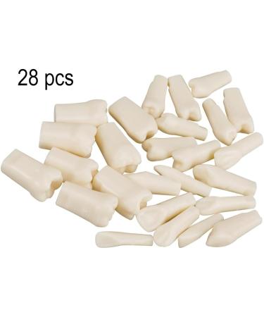 Dental Simulator Manikin Phantom Head - Training & Study Typodont Model with Removable 28 Teeth for Dental Exercises - Buy Online on GoSupps.com