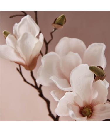 Thymes Magnolia Willow Linen Spray - 9 Fl Oz | Refresh and Revitalize Your Space - Buy Online on GoSupps.com