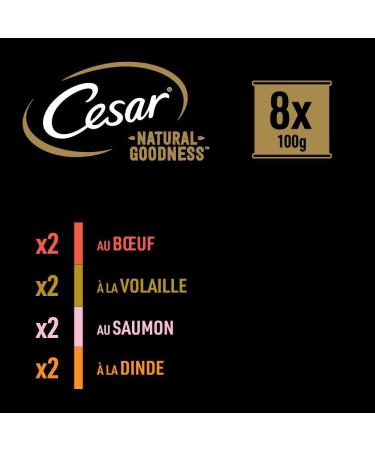 Cesar Barquettes Natural Goodness Terrine Wet Dog Food 4 Varieties Pack of 24 trays x 100 g - Buy Online on GoSupps.com