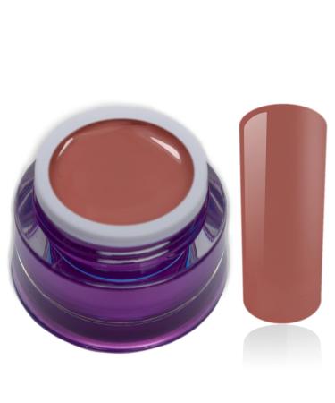 Color Gel Orange Brown Crabapple Uv Led Nail Gel Studio Quality Color Gel RM Beautynails 1 Pack (1x 5ml)