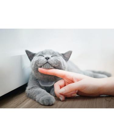 Tabcat V2 Pet Cat/Kitten Tracker - Longer Range, Smaller Tags - Buy Online on GoSupps.com