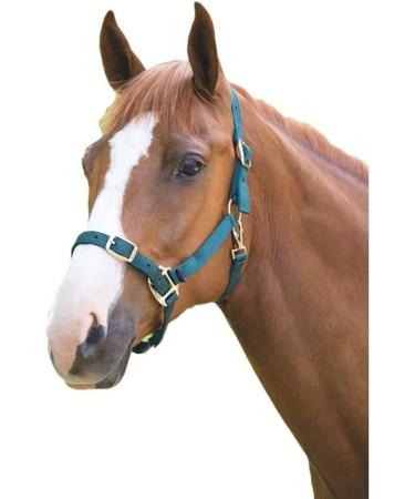 Shires Adjustable Pony/Horse Headcollar - Black Full Navy Full - Buy Online on GoSupps.com