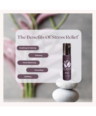 B. Divine Aromatherapy Essential Oil Roll-On Set Sleepytime Relax Head Ease Blends 0.34 fl oz Each - Buy Online on GoSupps.com
