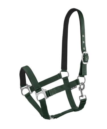 Start Economic Lined Halter For Horses Thoroughbred Pony - Stable Haller with two -stage adjustment - chin and neck piece - pasture horse halter halter warm blood neoprene (dark green pony) pony dark green