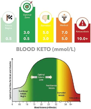 Ketone Breath Tester  Ketosis Meter  Keto Breathalyzer with 10pc Mouthpieces(mmol/L Display Units) Black-a - Buy Online on GoSupps.com