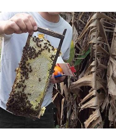 READ QURA Pure Wildflower Raw Honey from Mawsynram 500g - Buy Online on GoSupps.com