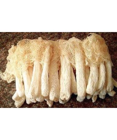 WENXUANSU:8ounce (227 grams) Natural Bamboo Fungus Dried Mushroom from Yunnan China