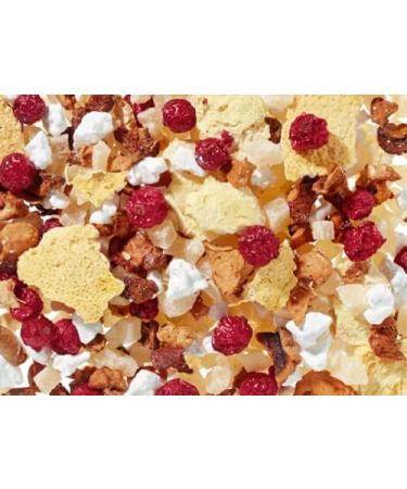 Dethlefsen Balk teemando 2 x fruit tea mix bitter lemonade grapefruitlemon nut flavoured 50 pyramid bags in a bag of 4 g 100 bags - Buy Online on GoSupps.com