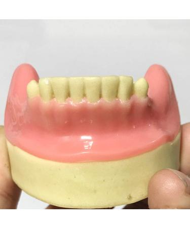 DYTAH Dental Implant Teeth Model - Lower Jaw 6 Teeth for Dental Students | Soft Gum Teeth Teaching Aid - Buy Online on GoSupps.com