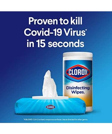 Clorox Disinfecting Wipes Value Pack - 75 Count Each, Pack of 3 (Package May Vary) - Buy Online on GoSupps.com