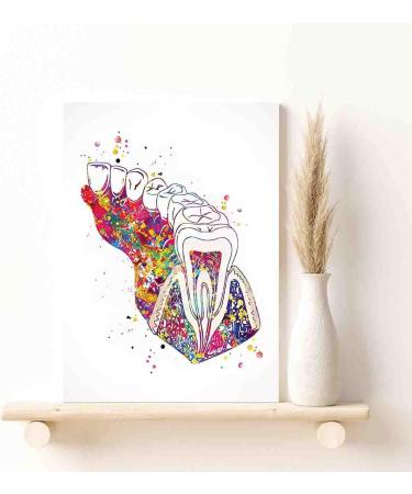 DAVUD Home Decor Bedroom Molar Tooth Section Diagram Watercolor Print Human Teeth Dental Office Clinic Decor Art Dentistry Dentist Gift Dental Hygienist- 16in x24 in-Ready to hang - Buy Online on GoSupps.com