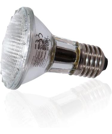 Buy SOLAR RAPTOR UV Halogen Spot 50W - Premium Reptile Heat Lamp for Terrariums | Daylight Spectrum - Buy Online on GoSupps.com
