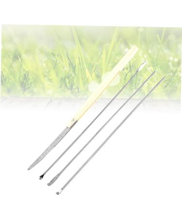 Stainless Steel Ear Cleaning Tool Set - Ear Scoop, Pick, Spoon - Buy Online on GoSupps.com