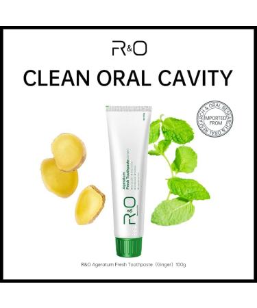 R&O Ginger Mint Fresh Toothpaste 3.53 oz - A Miracle for Oral Hygiene Maintains Fresh Breath Relieves Oral Discomfort Removes Dental Plaque (3) - Buy Online on GoSupps.com