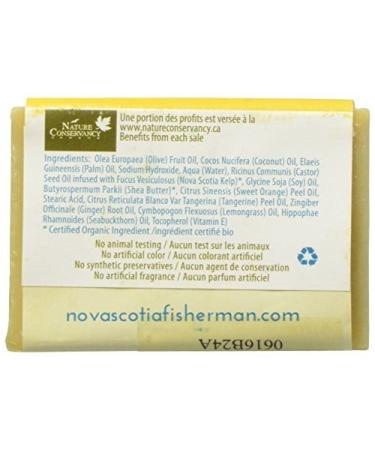 Buy Kelp Soap with Seabuckthorn & Shea - Nourishing 4.8 oz Bar for All Skin Types | Shop Internationally - Buy Online on GoSupps.com