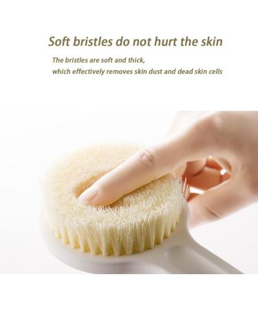 Long Handle Back Scrubber Shower Brush for Exfoliating and Skin Improvement - Cellulite Treatment and Blood Circulation - Buy Online on GoSupps.com