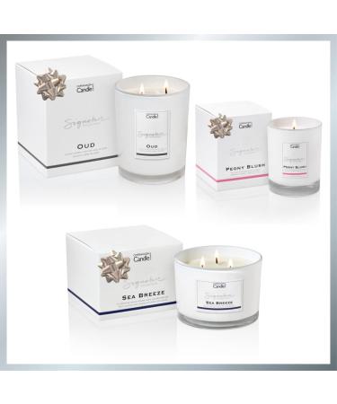 Luxury Scented Candles Gifts for Women | Natural Wax Blend | 65 Hr Burn Time | Hotel Collection | The Copenhagen Company - Pomelo - Buy Online on GoSupps.com