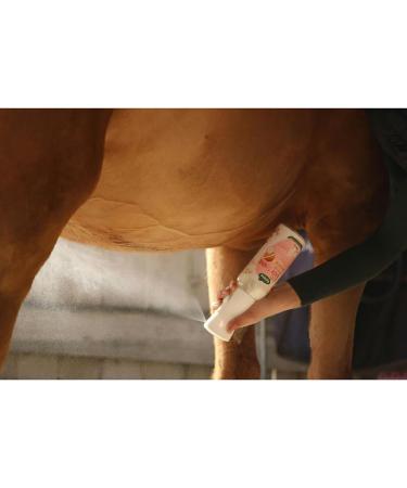 Ravene Easy Shine Intense Detangling and Shine Care Refill - 500 ml - Buy Online on GoSupps.com