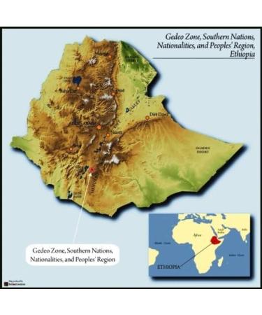 Ethiopian Yirgacheffe Single Origin Micro Lot - Buy Online on GoSupps.com