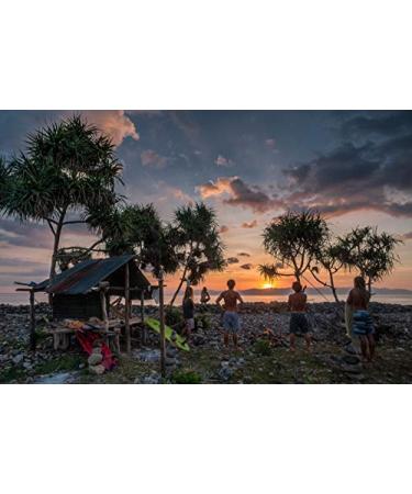 SURFYOGIS Original Sunscreen - 100% Natural Reef Friendly Cold Climate Formula 60g - Sun Protection for Surfing - Buy Online on GoSupps.com