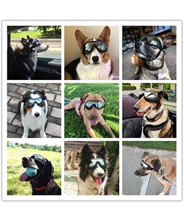 Dog Fashion: Doggles Goggles with UV Protection for Large/Medium Dogs - Buy Online on GoSupps.com