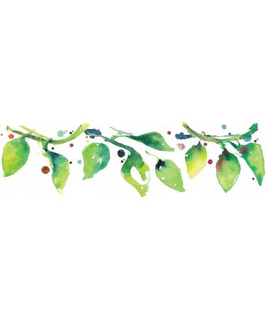 Mideco Organics KETO Protein Chocolate Salty Carmello 40g I No added sugars I 21 protein I with the addition of MCT oil I perfect for the KETO and Low carb diet - Buy Online on GoSupps.com