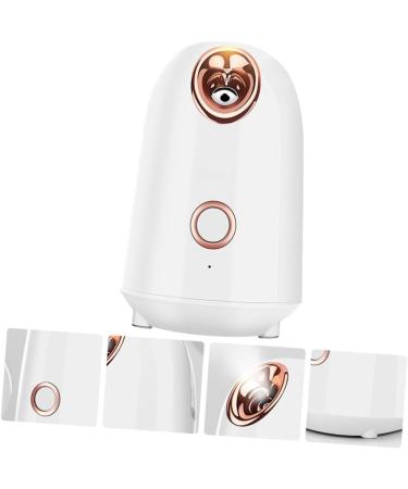 FOMIYES Water Replenishing Instrument Steamer Portable Humidifiers Nano Sprayer Skin Care - Buy Online on GoSupps.com