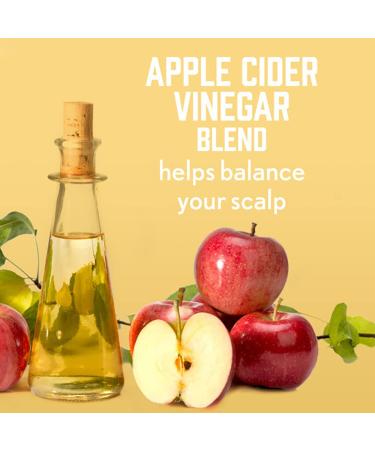 Aveeno Apple Cider Vinegar Shampoo + Conditioner 12 Fl Oz - Clarifying & Balancing Formula for Oily Hair - Paraben & Dye-Free - Buy Online on GoSupps.com