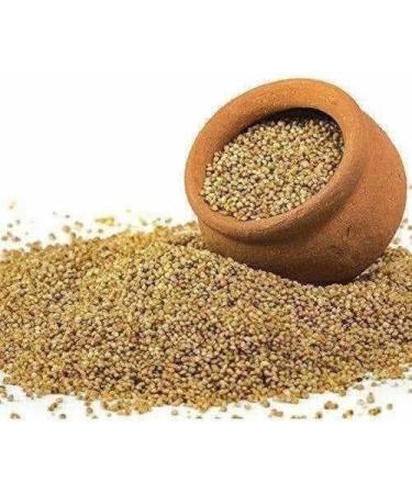 Seelans Telugu Kodo Millet 500g | Varagu | High Protien | Healthy | Indian Origin | - Buy Online on GoSupps.com