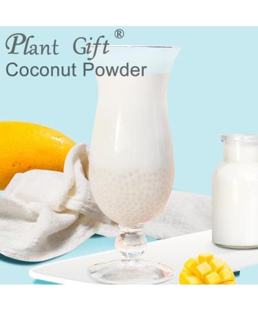 100% Natural Pure Coconut Powder 100g/3.52oz poudre de noix de coco pour smoothies shakes p tisseries et boissons | sans conservateurs - Buy Online on GoSupps.com