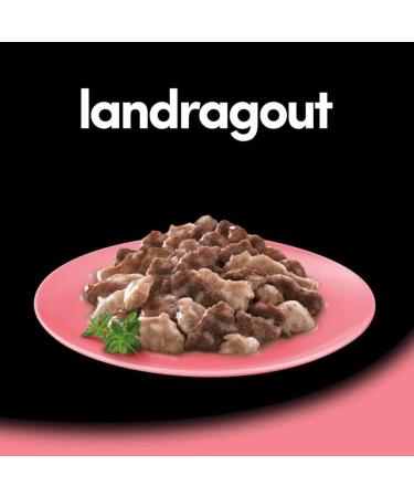 Cesar Dog Food Wet Country Kitchen - Calf & Turkey in Sauce 14 Bowls (14 x 150g) - Premium Pet Nutrition - Buy Online on GoSupps.com
