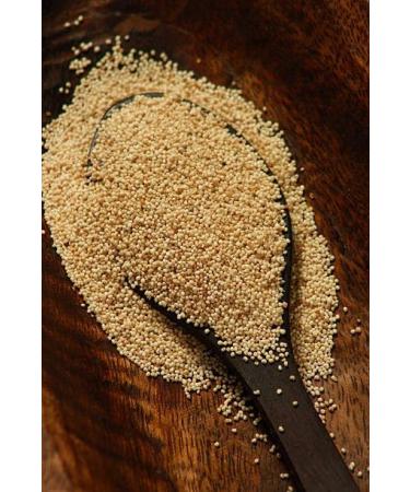 TRS Poppy Seeds White | 100G |Cooking Baking Pastry Herbs and Spices | Vegan | Gluten Friendly | Non-GMO | Indian Origin (Pack of 2) - Buy Online on GoSupps.com