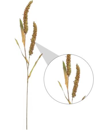 Ciieeo 3pcs Simulated Ears of Corn Artificial Wheat Ears Stalks Thanksgiving Decorations Wheat Home D cor Fall Decor Artificial Plants Simulation Wheat Ears Household Fake Grass Iron Greenx3pcs 12X75CMx3pcs - Buy Online on GoSupps.com