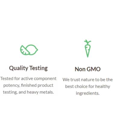 Alora Naturals - Joint Recovery - Buy Online on GoSupps.com