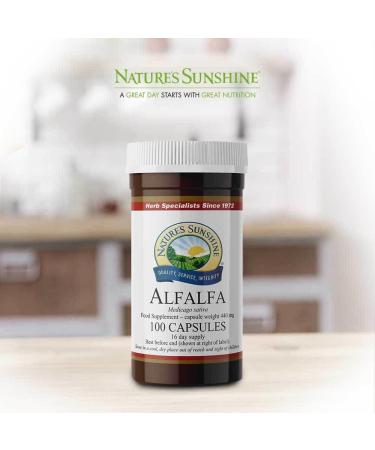 ALFALFA (100) (Medicago sativa) - Buy Online on GoSupps.com