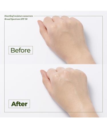 JMsolution Heart Leaf Sunscreen SPF 50 Made in USA Calming UV Protection with Heart Leaf & Centella Asiatica Lightweight Hydrating Face Sunscreen for Sensitive Skin - Buy Online on GoSupps.com